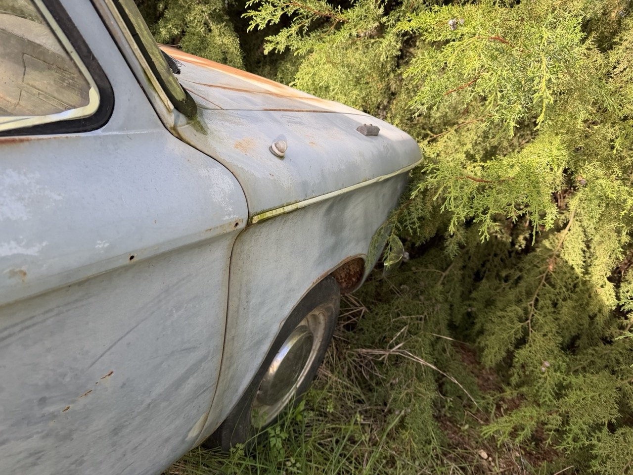 IMG_8555 – grande.jpeg