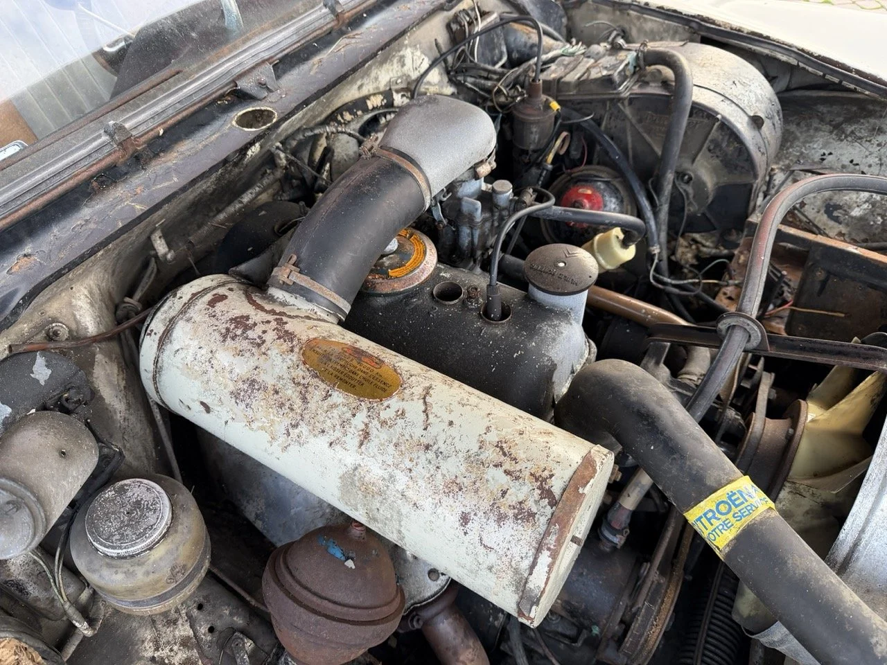 IMG_5962 2 – grande.jpeg