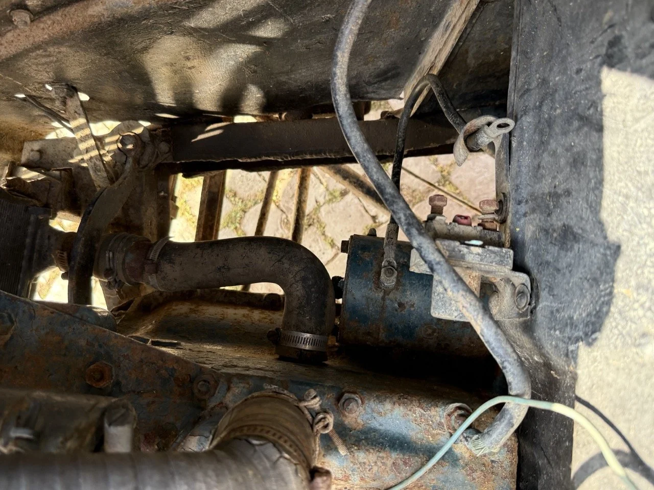 IMG_3709 – grande.jpeg