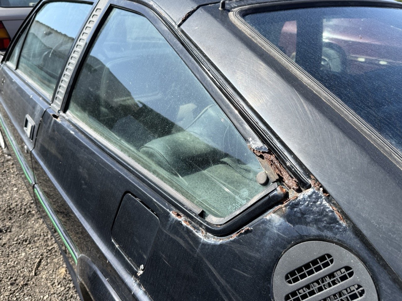 IMG_2927 – grande.jpeg