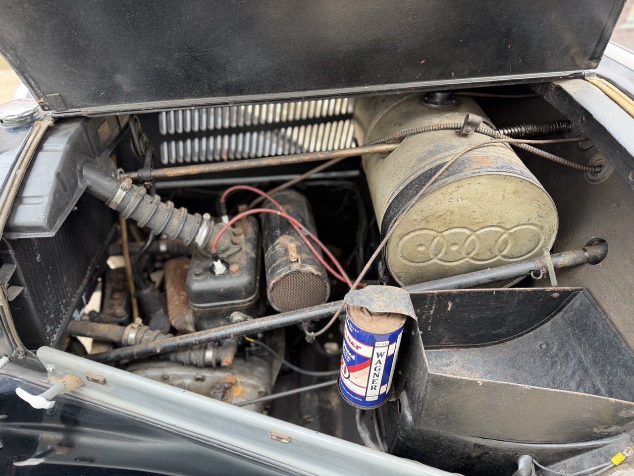 IMG_1446 – grande.jpeg