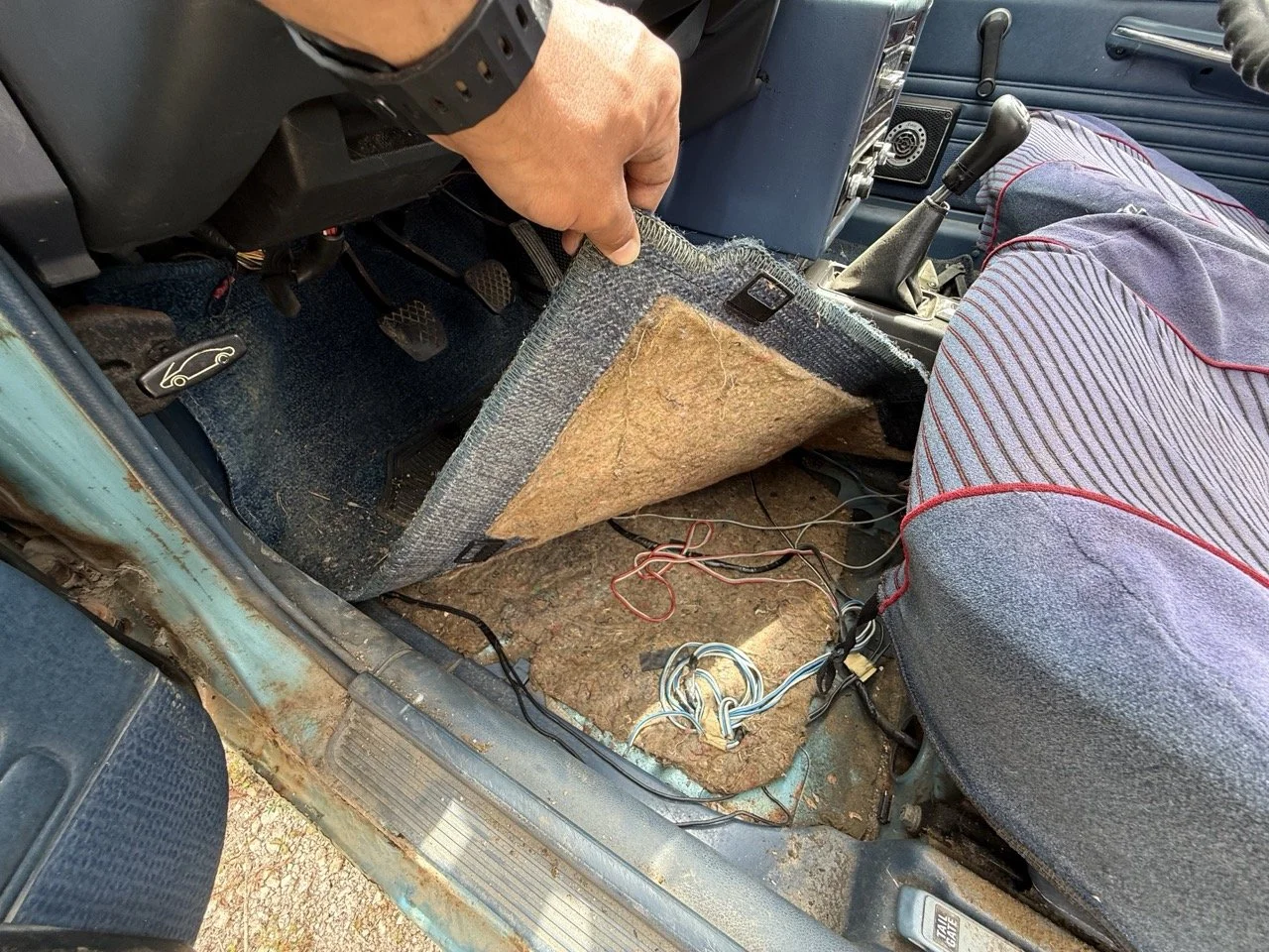 IMG_1528 – grande.jpeg