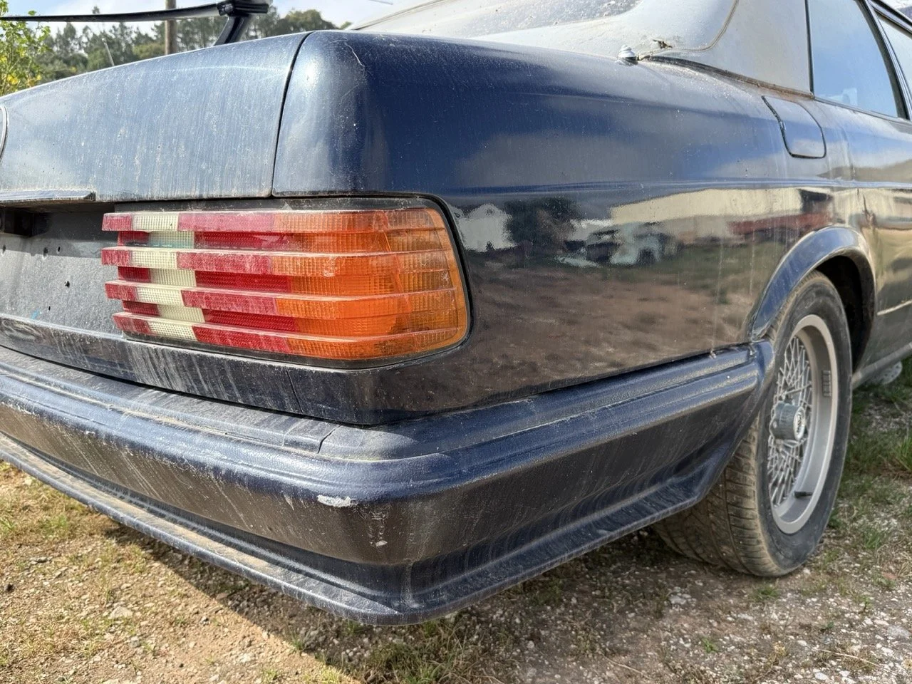 IMG_3403 – grande.jpeg