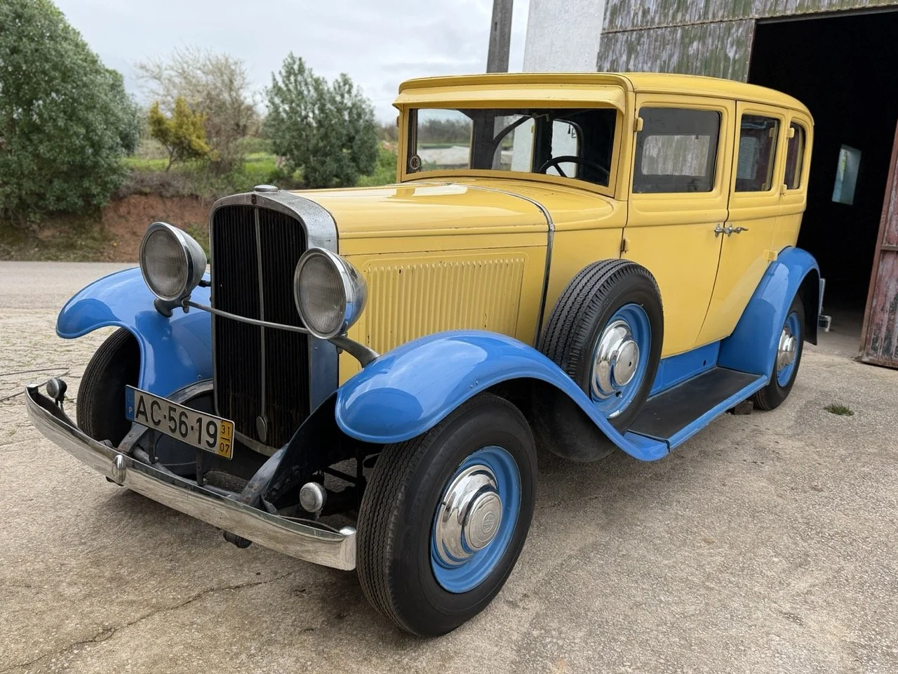 IMG_1497 – grande.jpeg