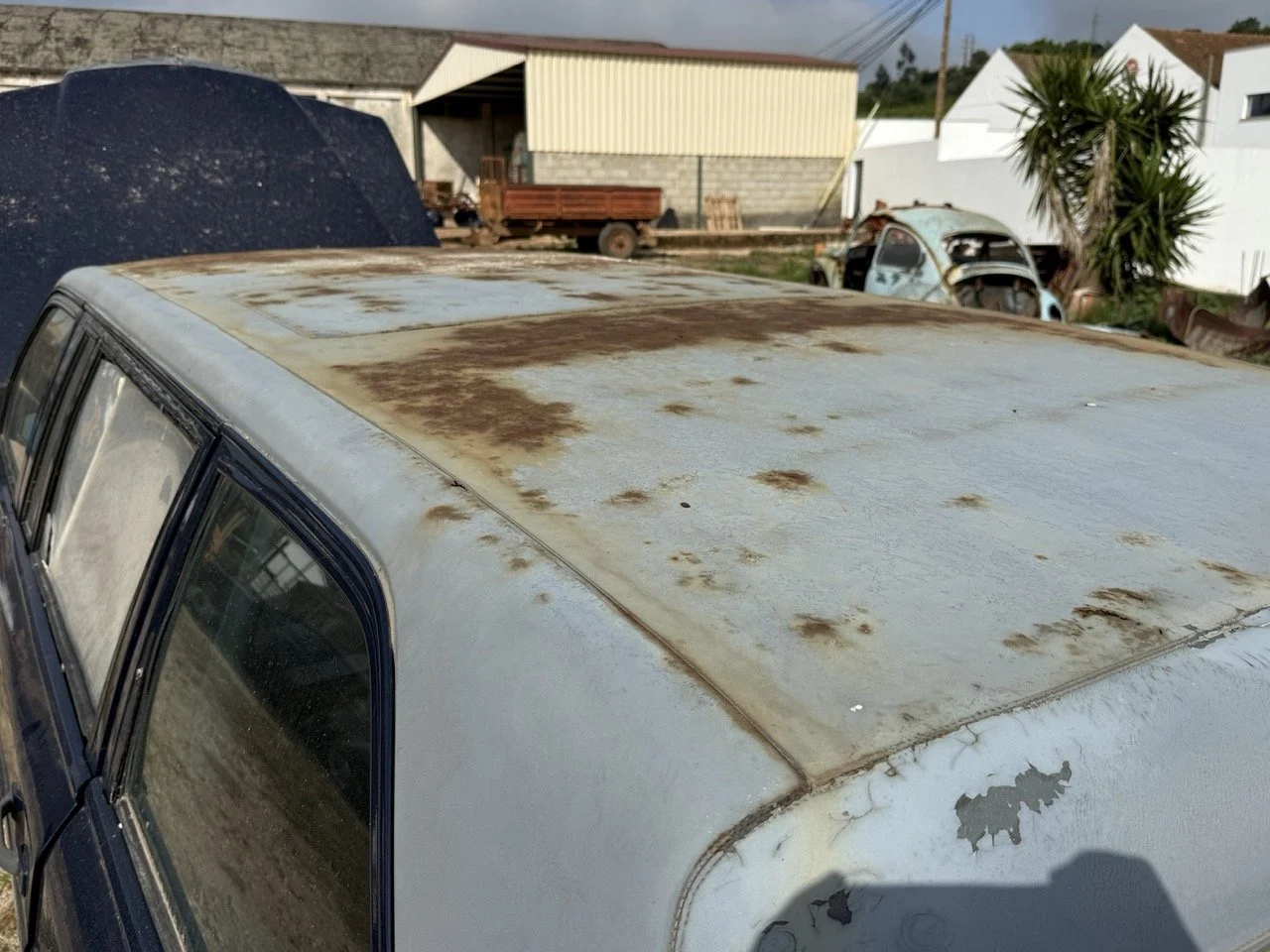 IMG_3412 – grande.jpeg