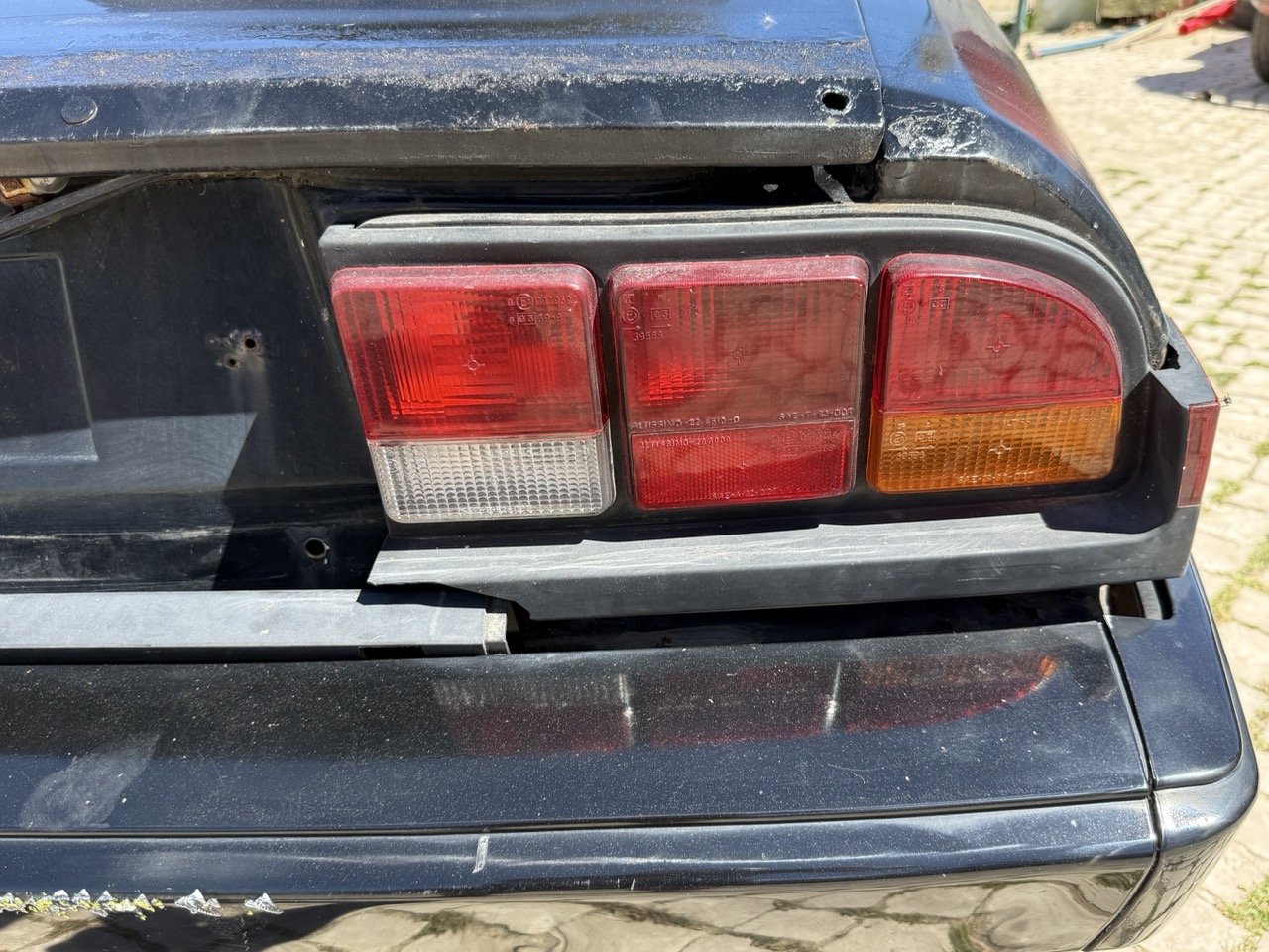 IMG_2194 – grande.jpeg