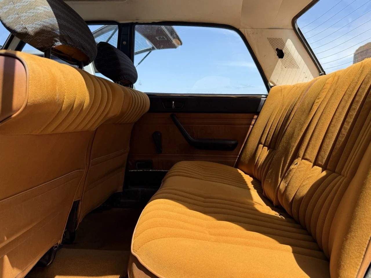 IMG_0749 – grande.jpeg