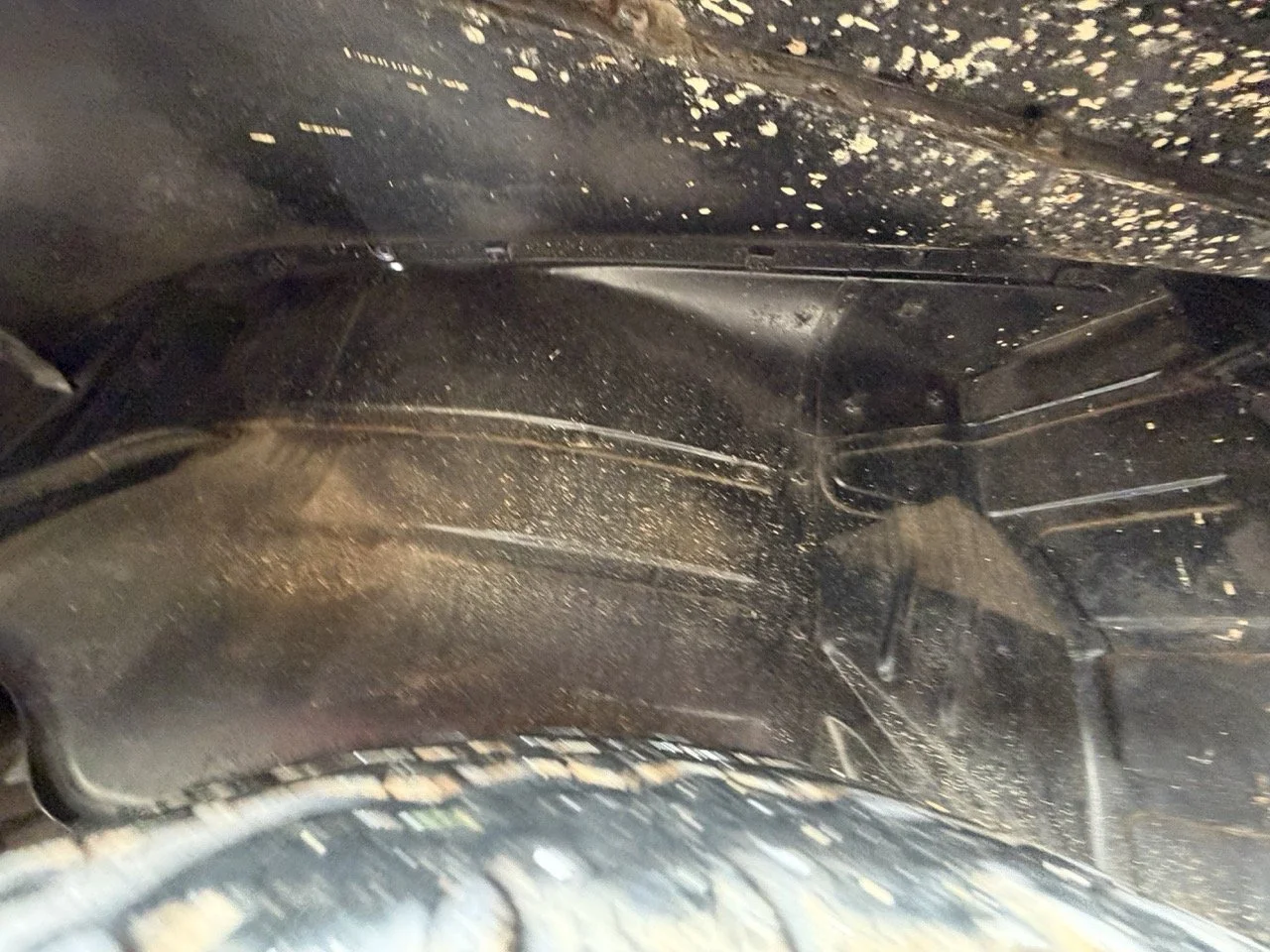 IMG_8145 – grande.jpeg