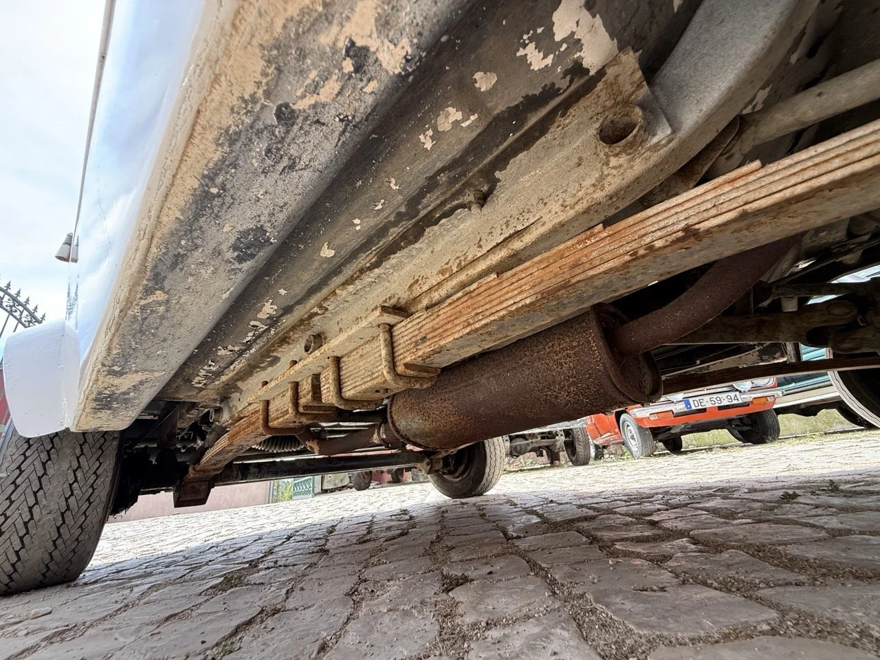 IMG_2066 – grande.jpeg
