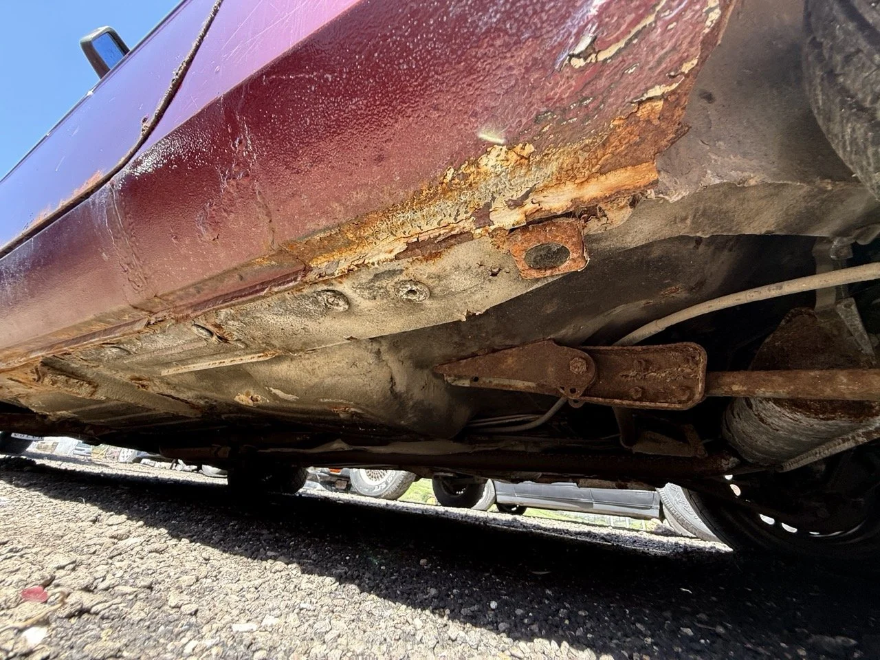 IMG_0964 – grande.jpeg