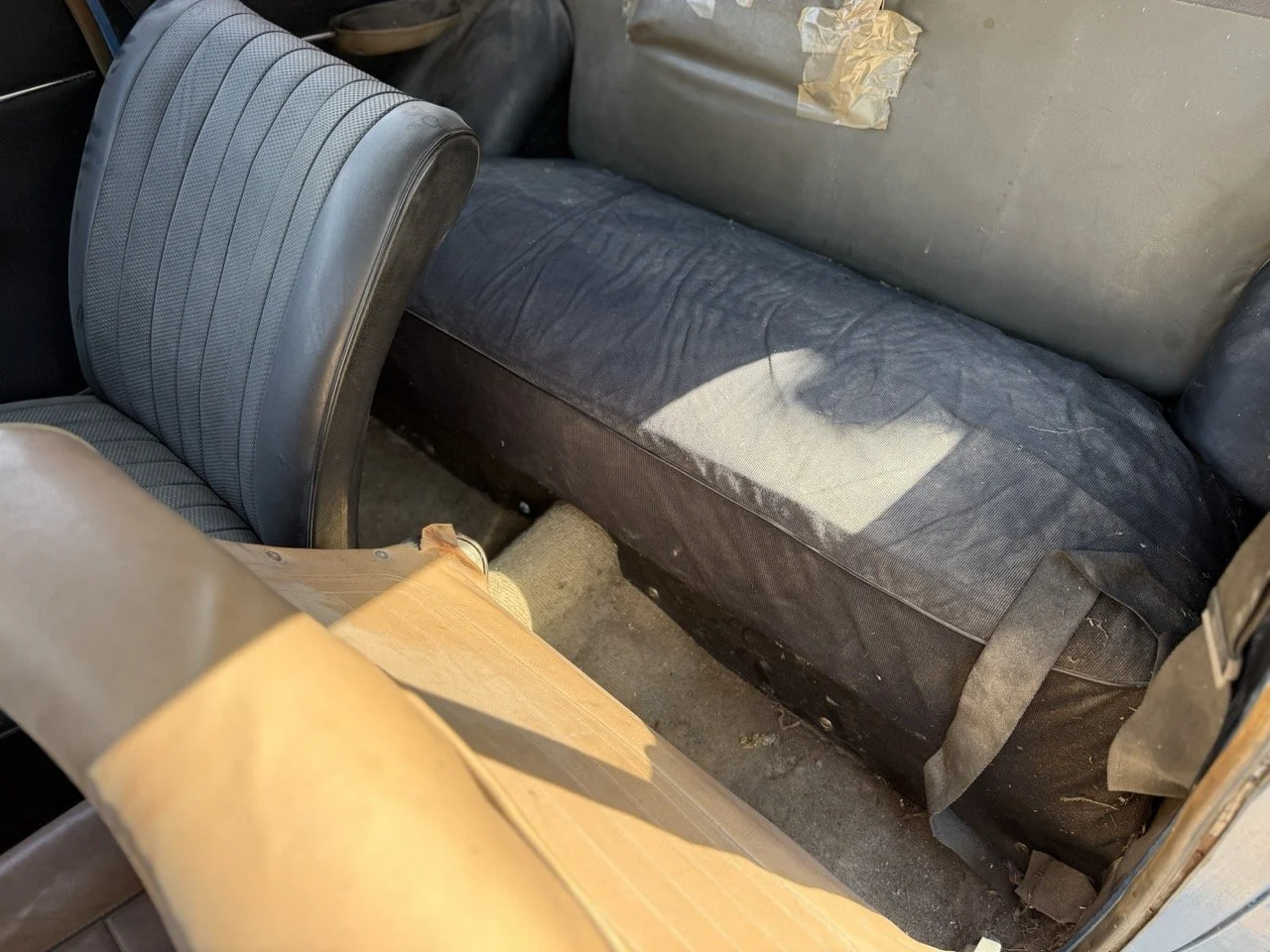 IMG_3503 – grande.jpeg