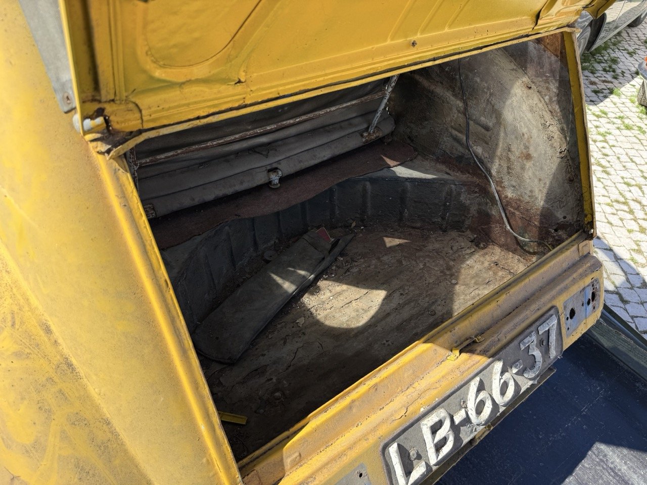 IMG_9110 – grande.jpeg