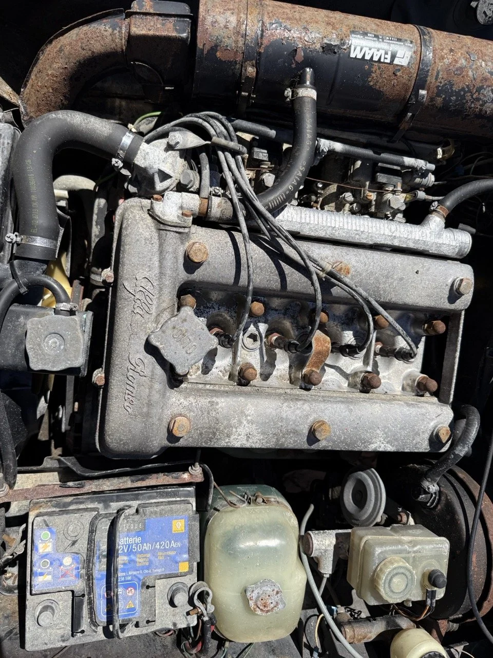 IMG_2155 – grande.jpeg