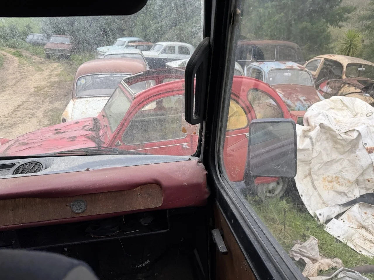 IMG_1344 – grande.jpeg