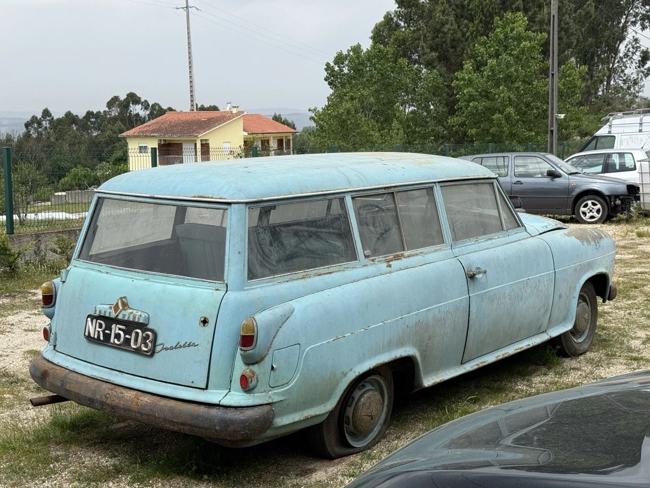 IMG_1352 – grande.jpeg