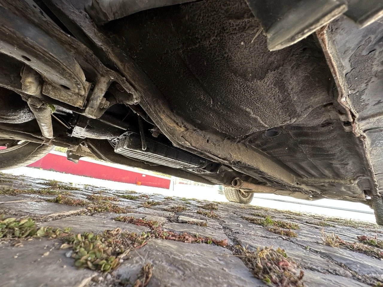 IMG_7243 – grande.jpeg