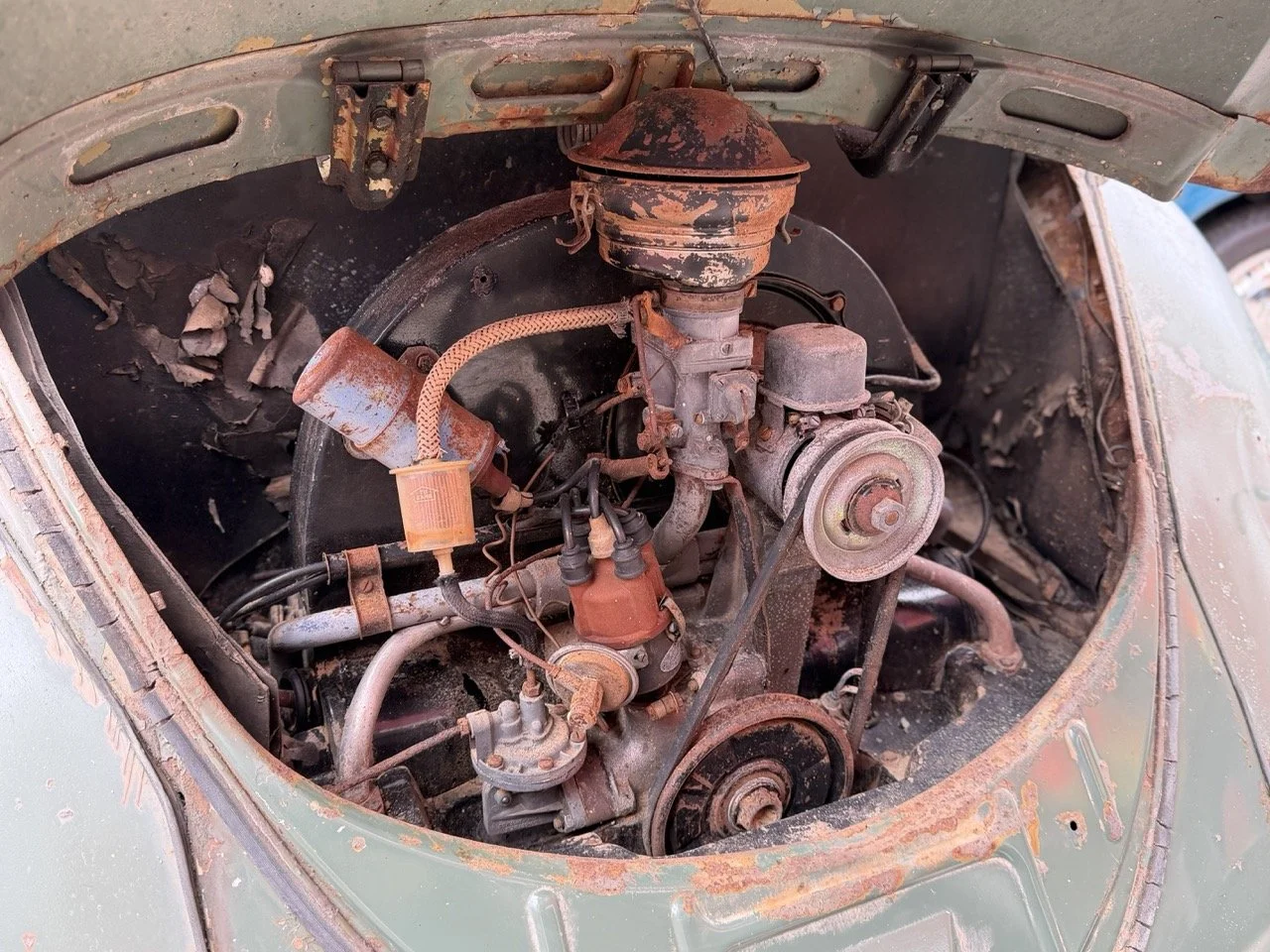 IMG_1162 – grande.jpeg