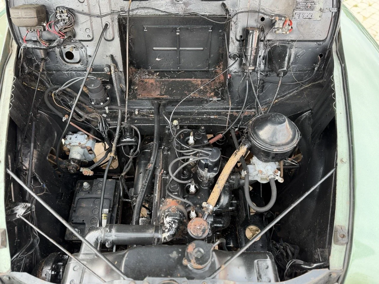 IMG_9833 – grande.jpeg