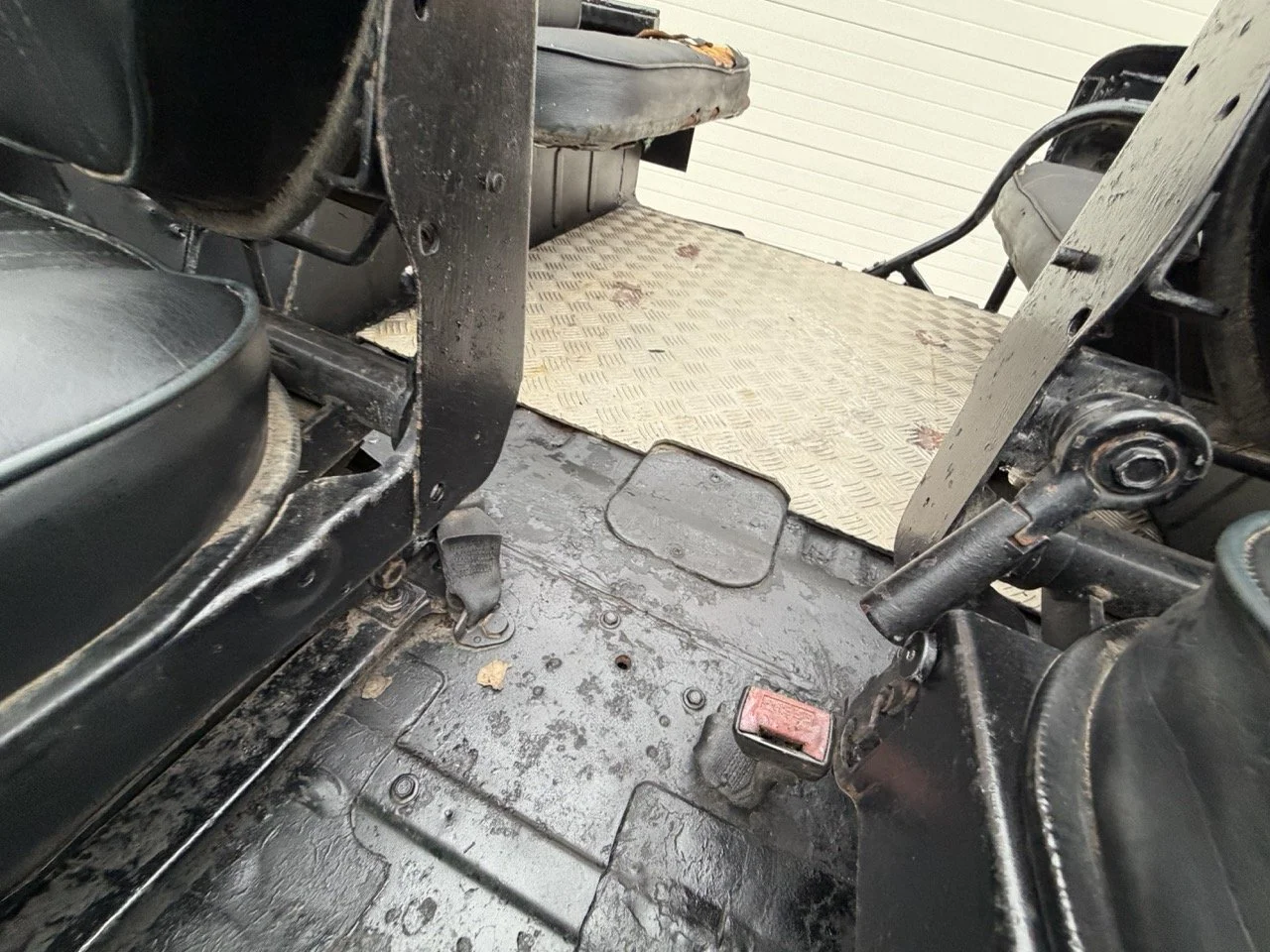 IMG_6542 – grande.jpeg