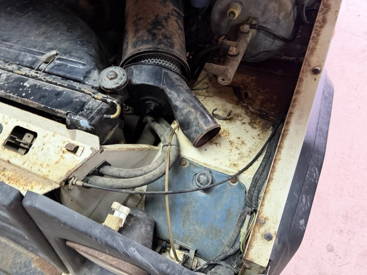 IMG_5205 – grande.jpeg