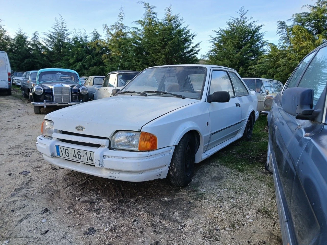 74ec4d50-ad3e-4f4a-ba47-34307473bc44 2 – grande.jpeg