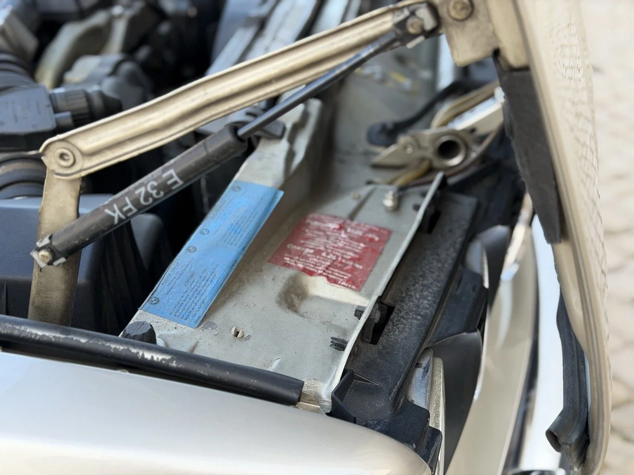 IMG_6976 2 – grande.jpeg