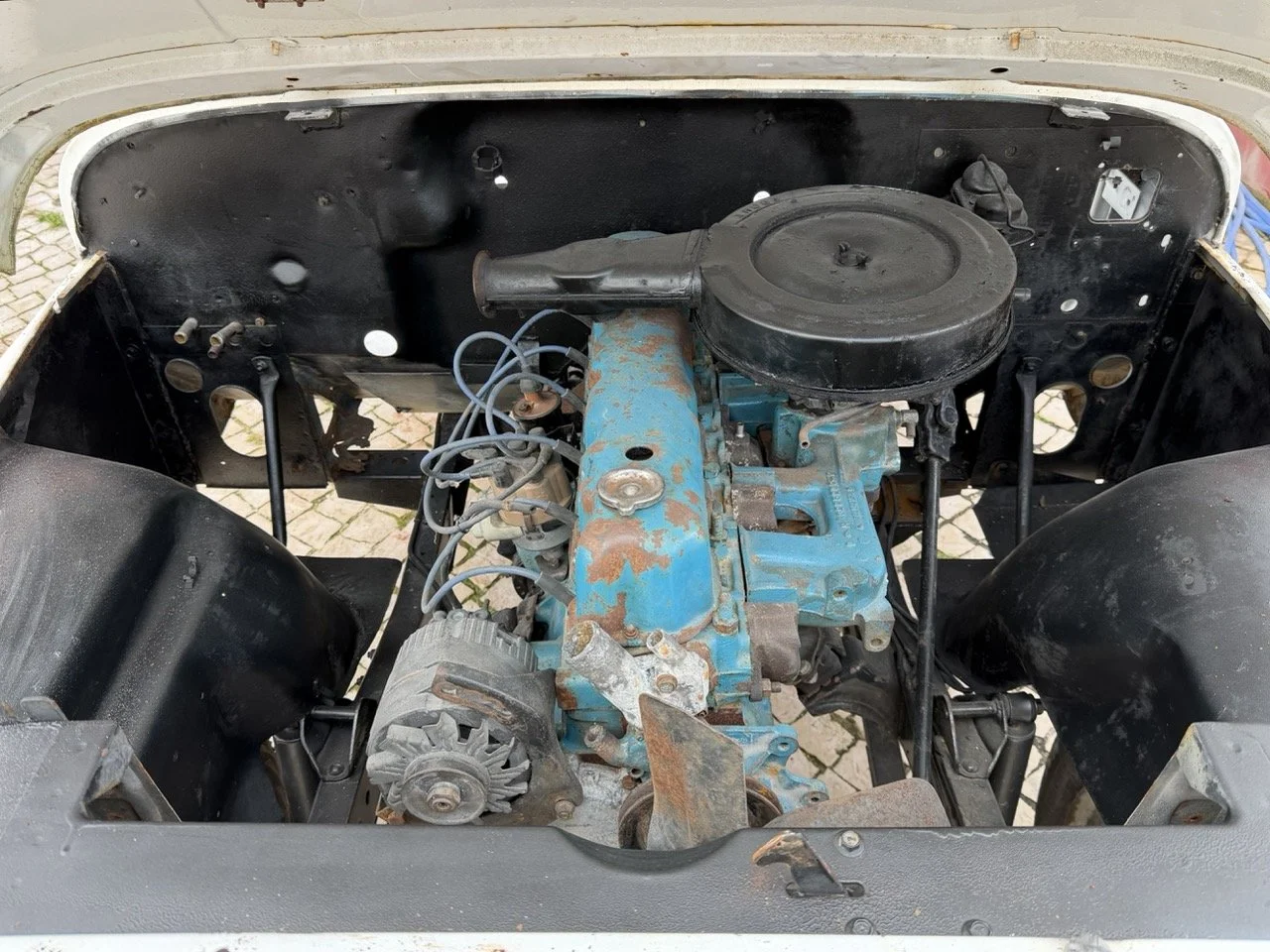 IMG_3939 – grande.jpeg