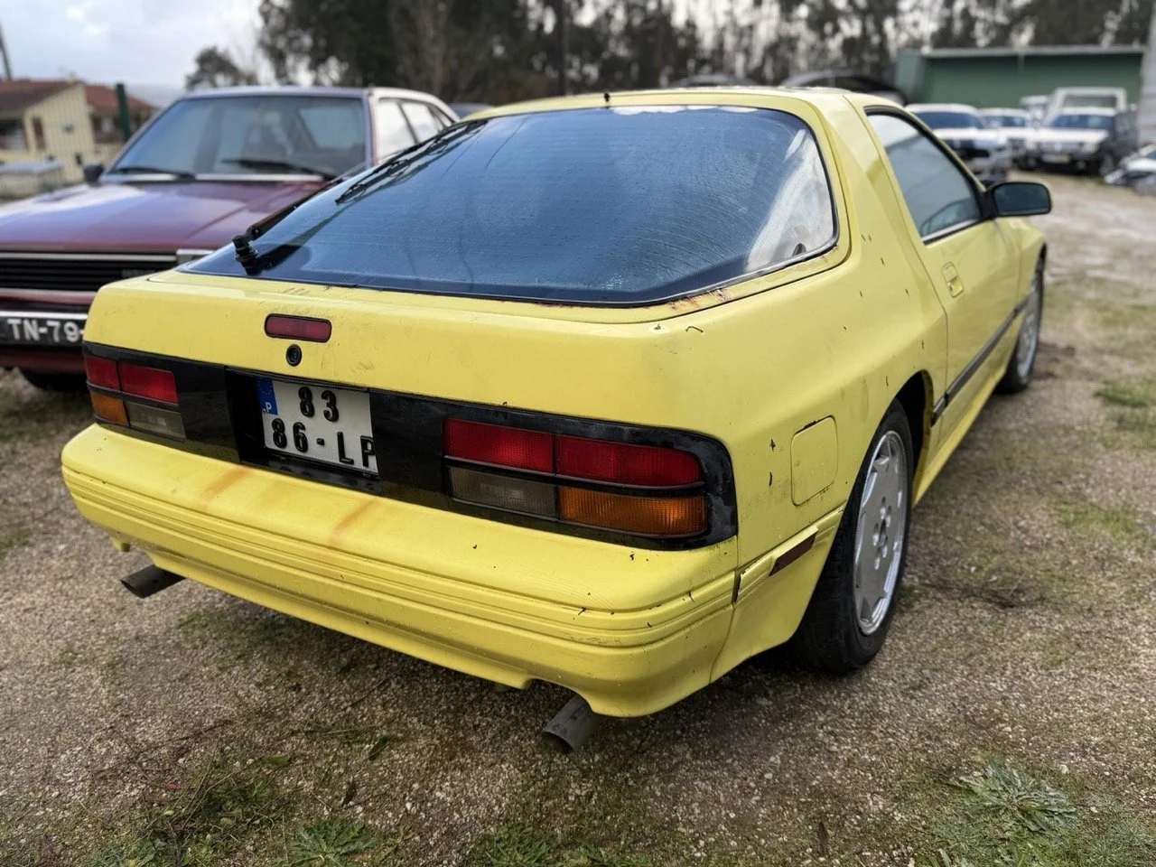 IMG_5209 – grande.jpeg