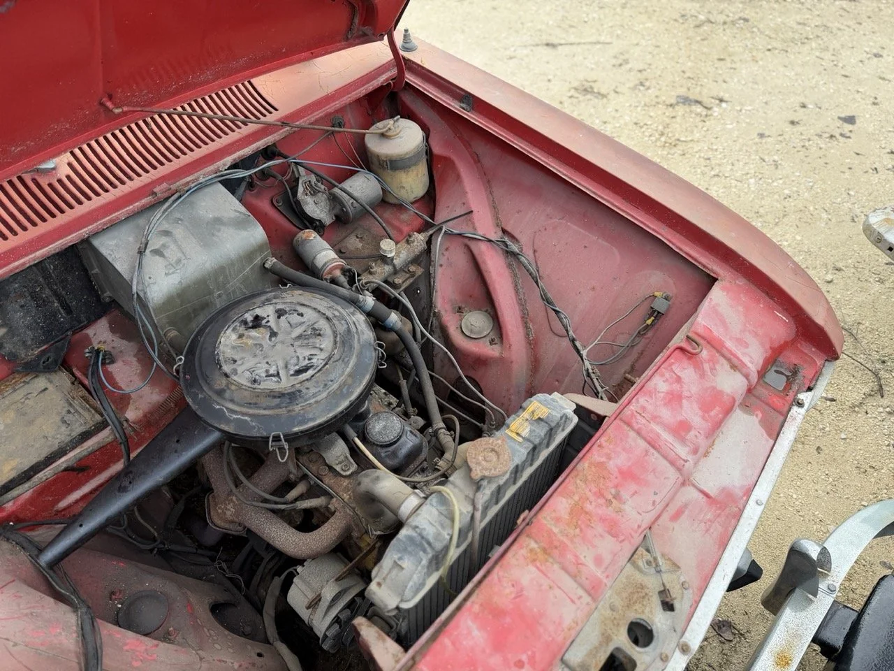 IMG_4976 – grande.jpeg