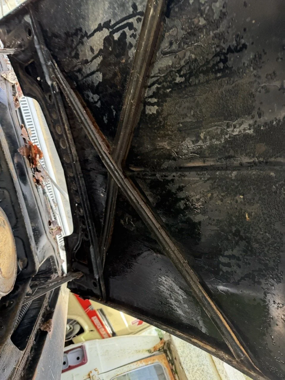 IMG_5099 – grande.jpeg