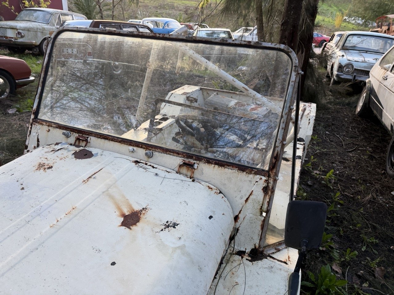 IMG_0887 – grande.jpeg