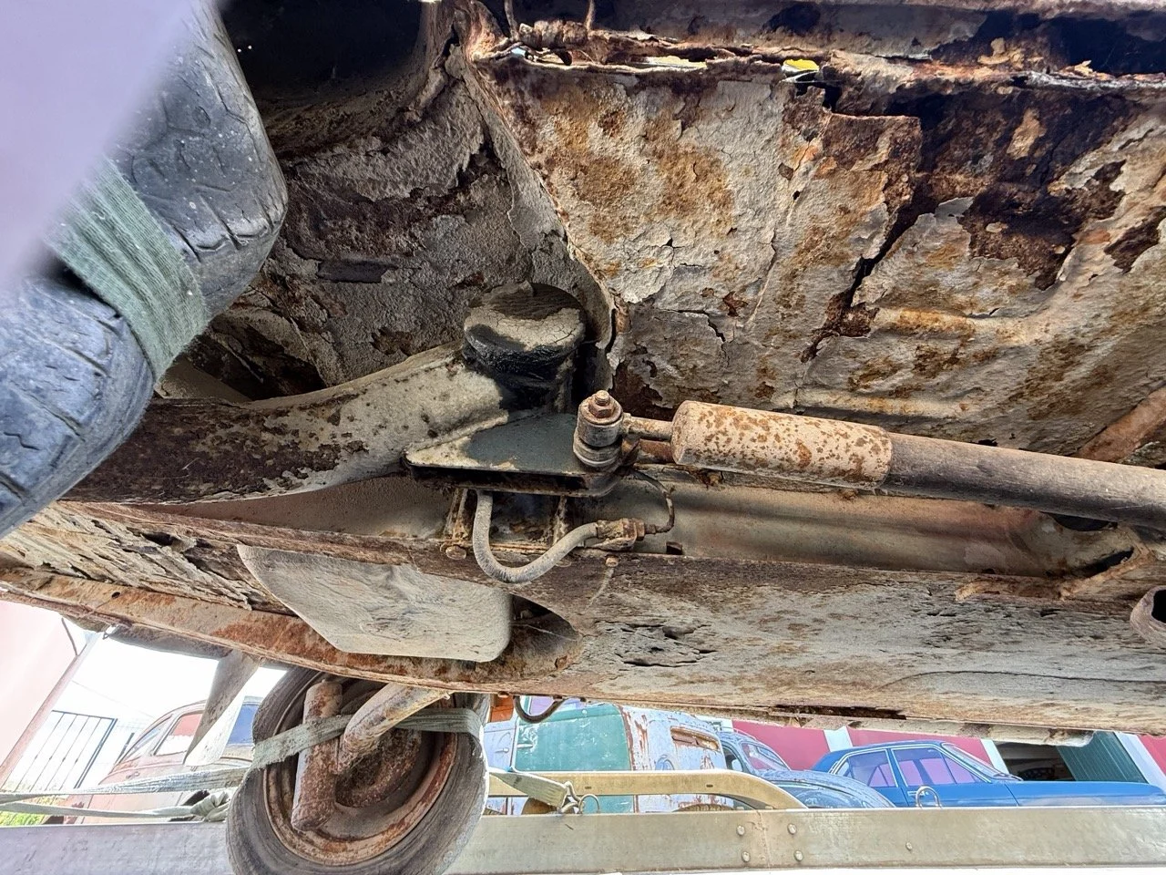 IMG_9135 – grande.jpeg