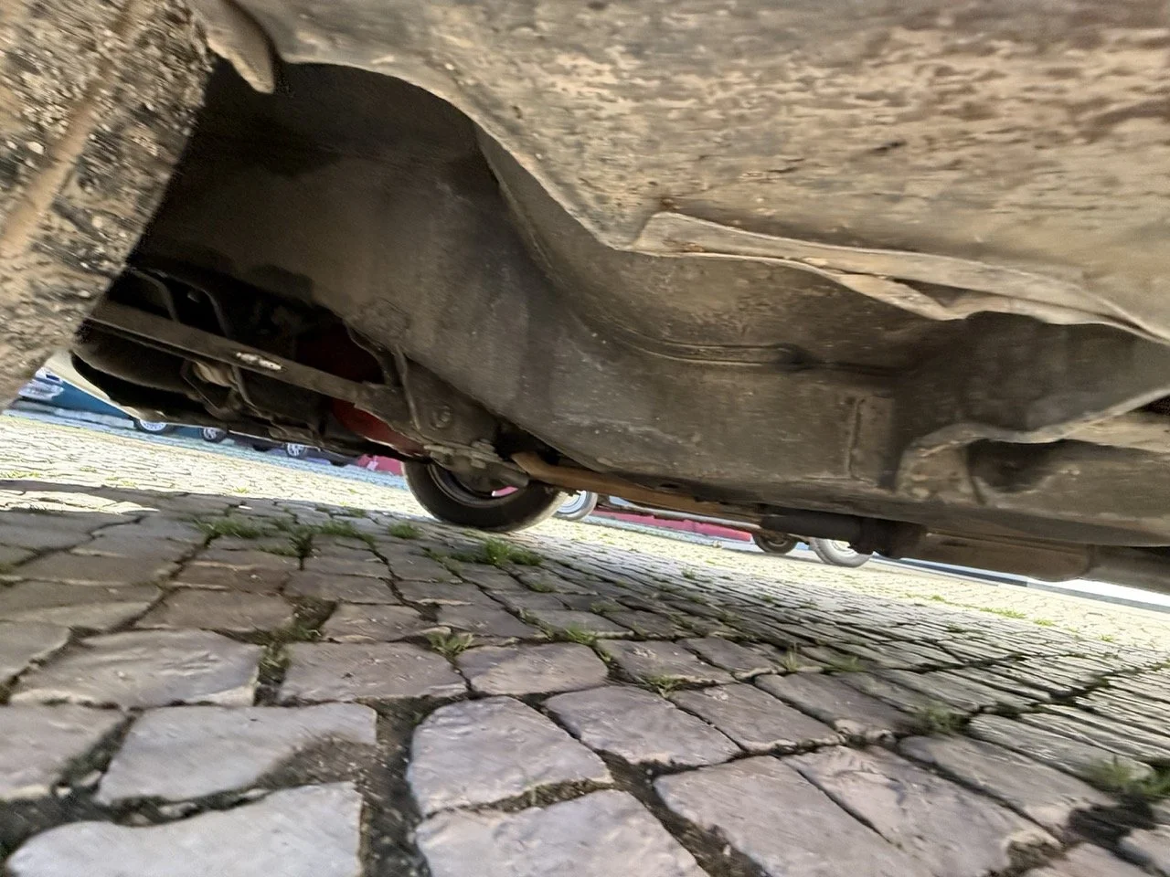 IMG_2057 – grande.jpeg