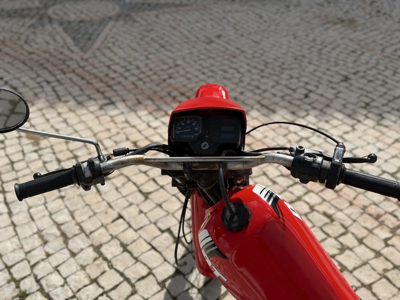 IMG_2151 – grande.jpeg