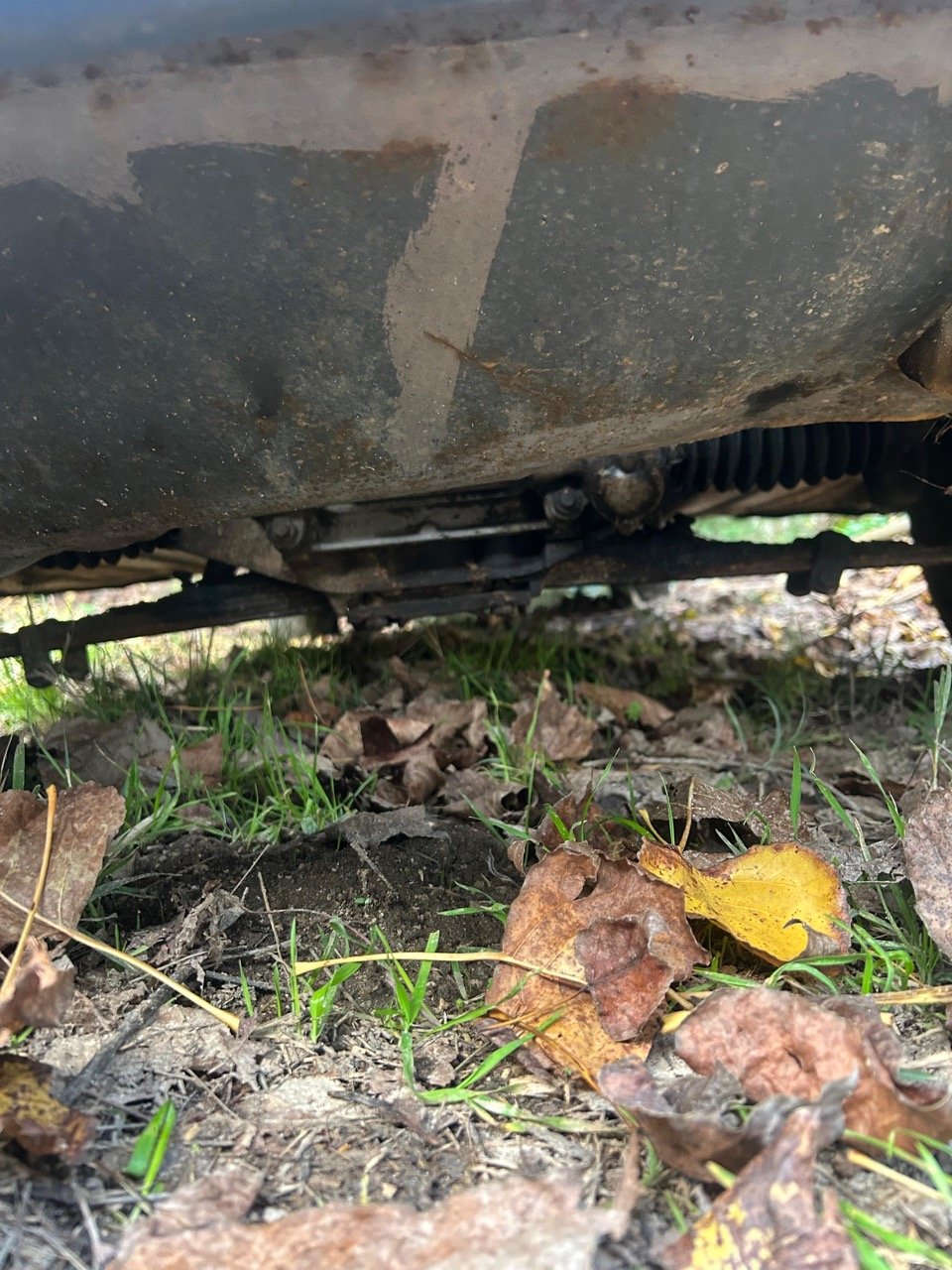 0534573d-5258-4672-9903-860a06164653 – grande.jpeg