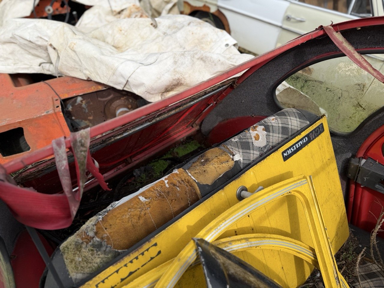 IMG_3856 – grande.jpeg