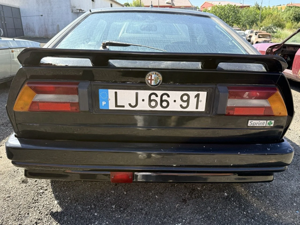 IMG_2917 – grande.jpeg