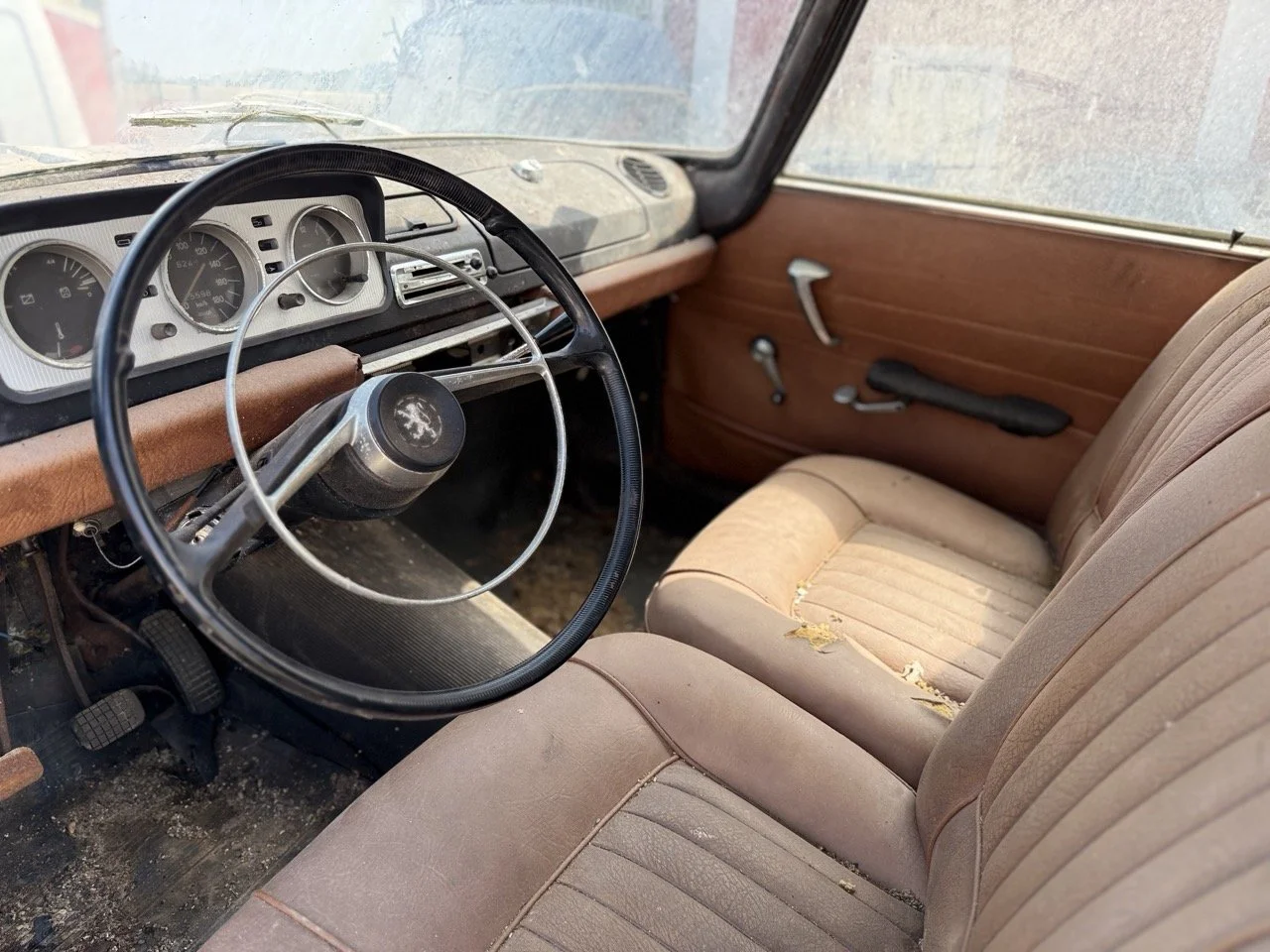 IMG_3465 – grande.jpeg