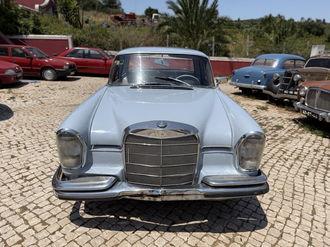 IMG_0790 – grande.jpeg