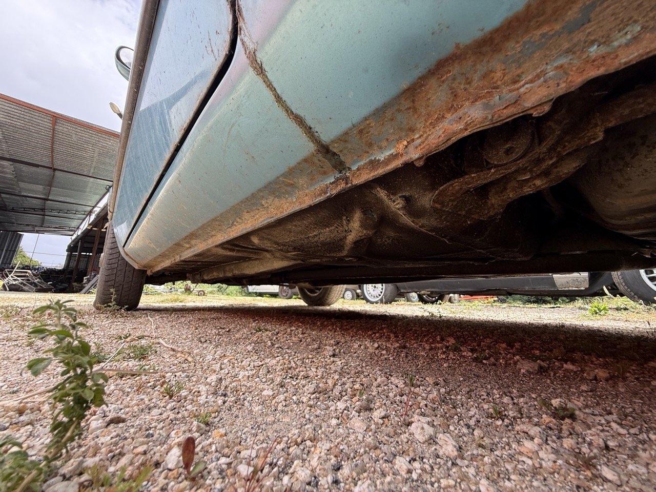 IMG_1566 – grande.jpeg