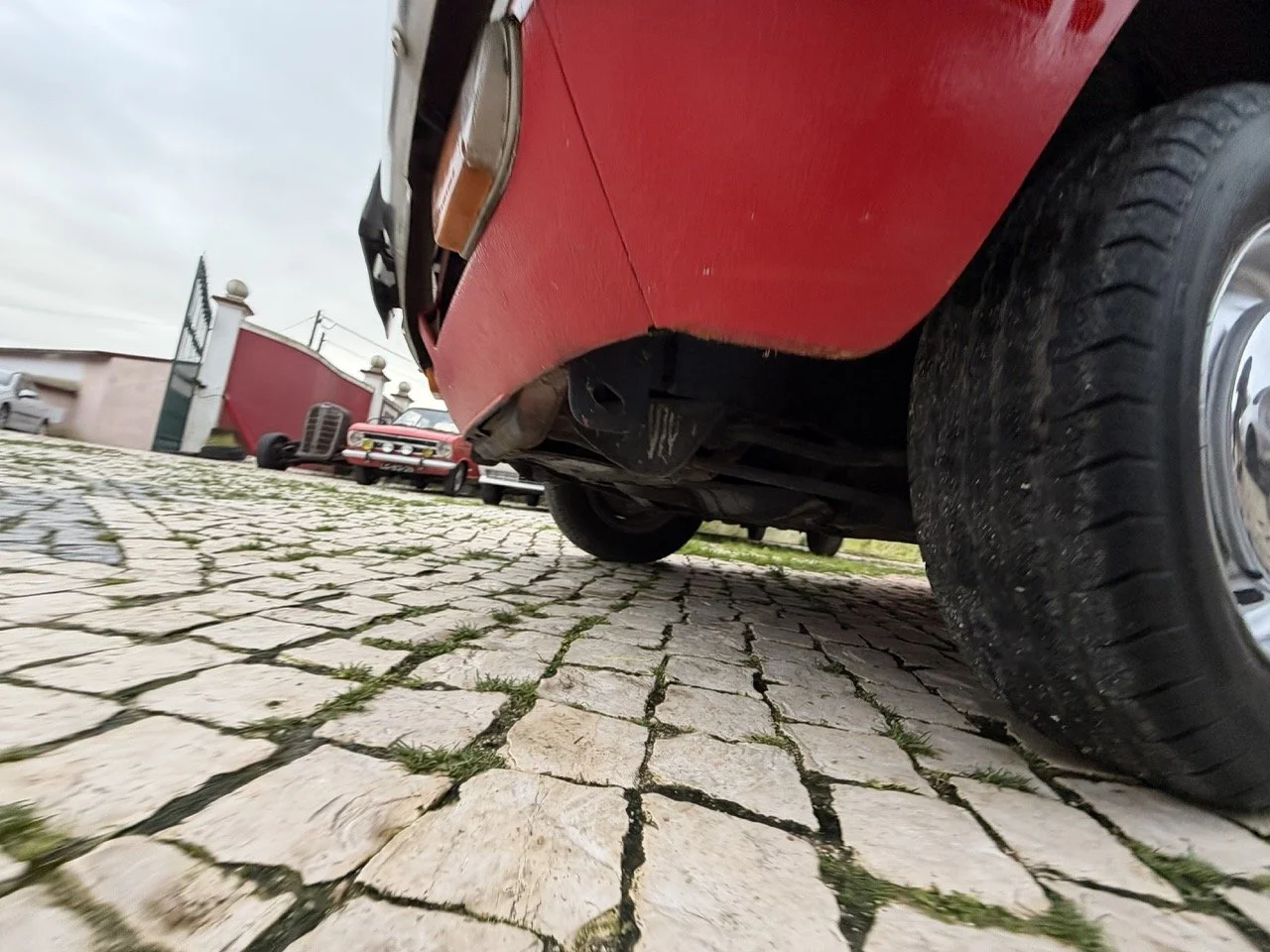 IMG_8328 – grande.jpeg