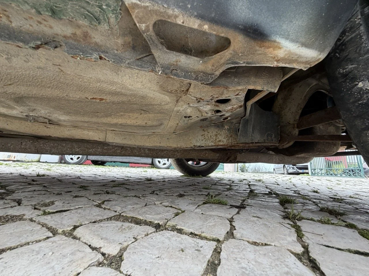 IMG_1323 – grande.jpeg