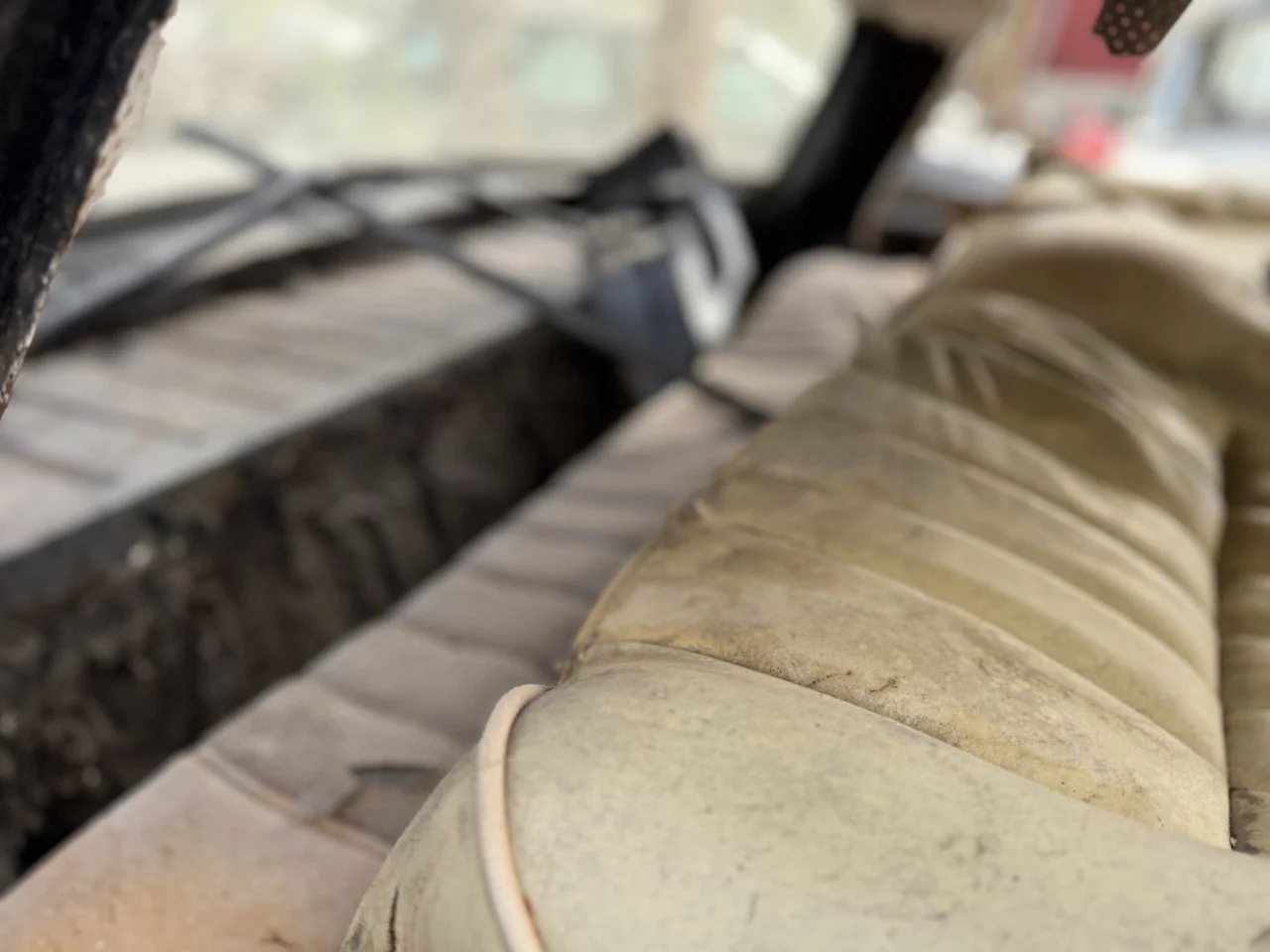 IMG_5229 – grande.jpeg