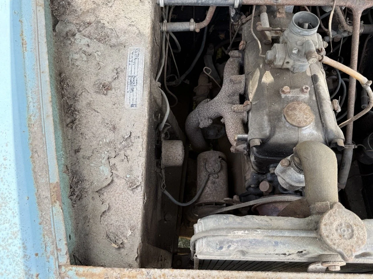 IMG_1440 – grande.jpeg