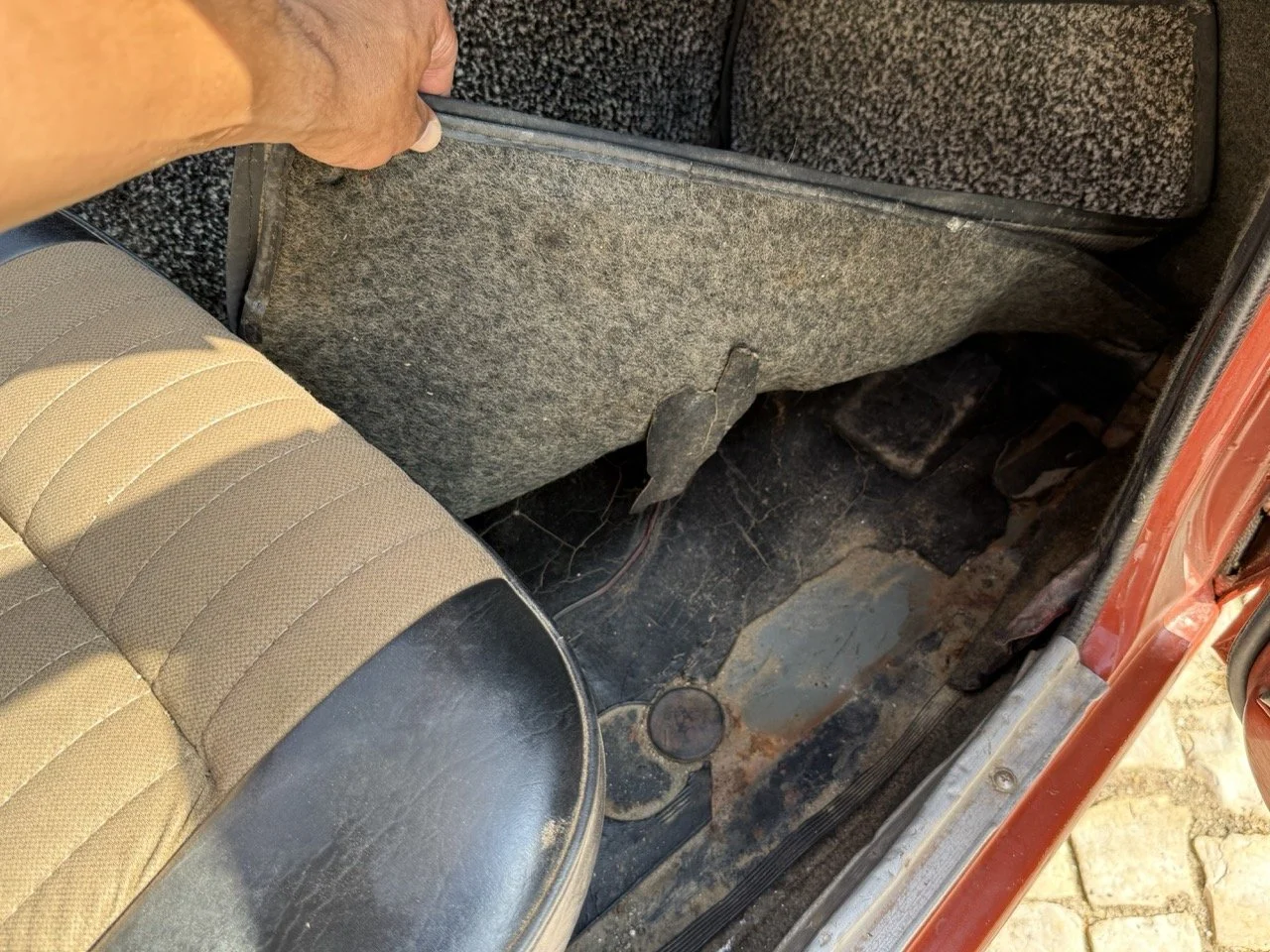 IMG_3658 – grande.jpeg