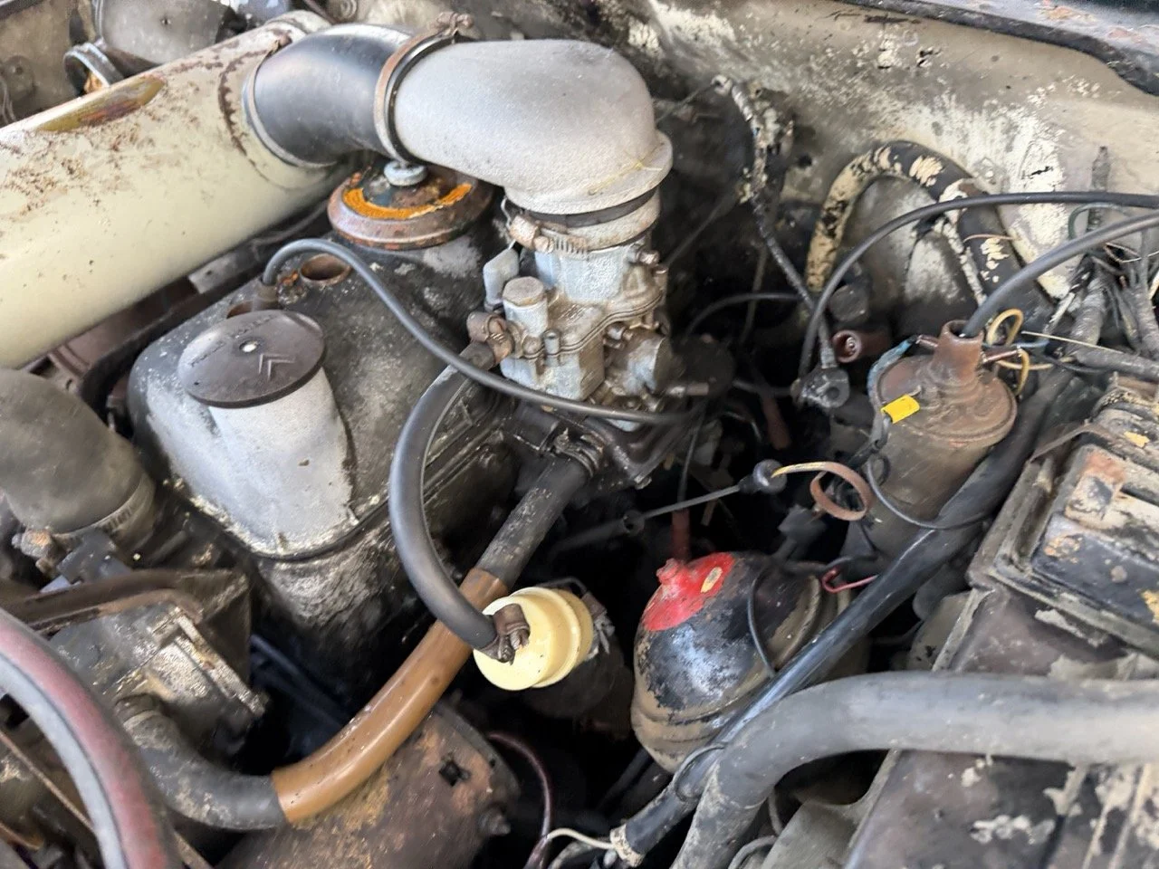 IMG_5968 2 – grande.jpeg