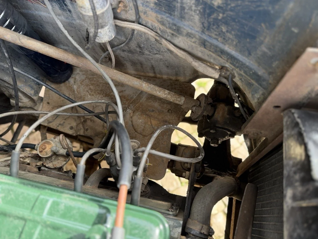 IMG_8118 – grande.jpeg