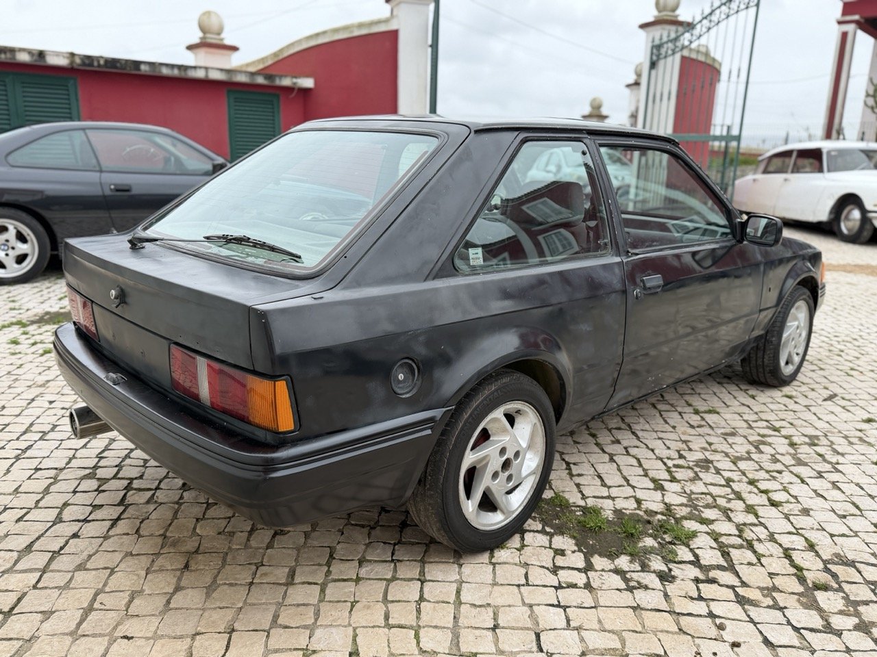 IMG_1258 – grande.jpeg