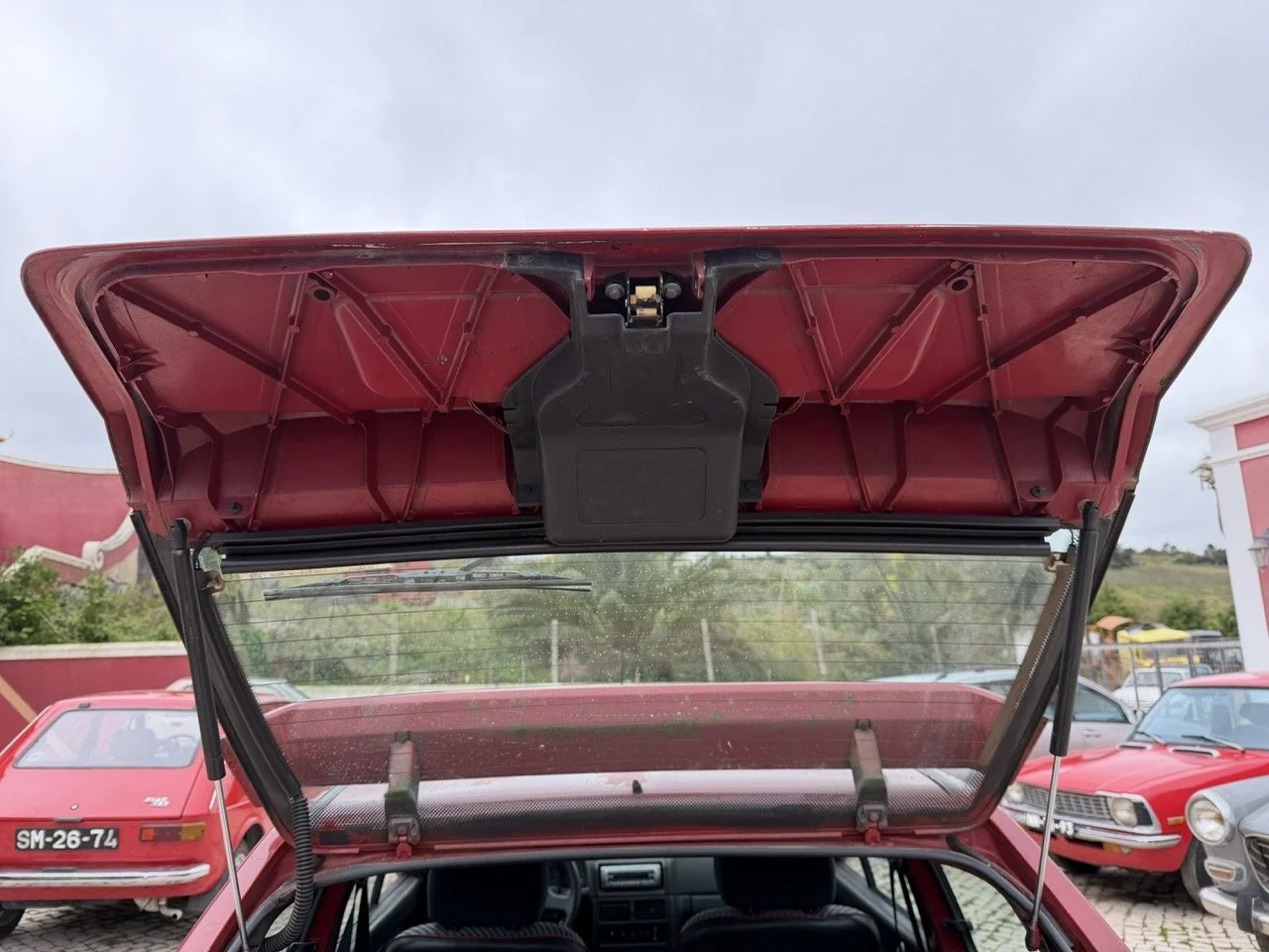 IMG_3610 – grande.jpeg