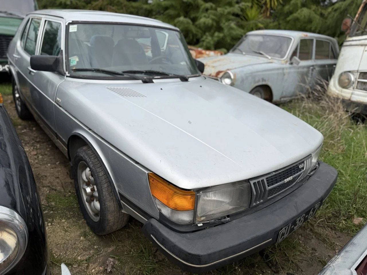 IMG_4981 – grande.jpeg